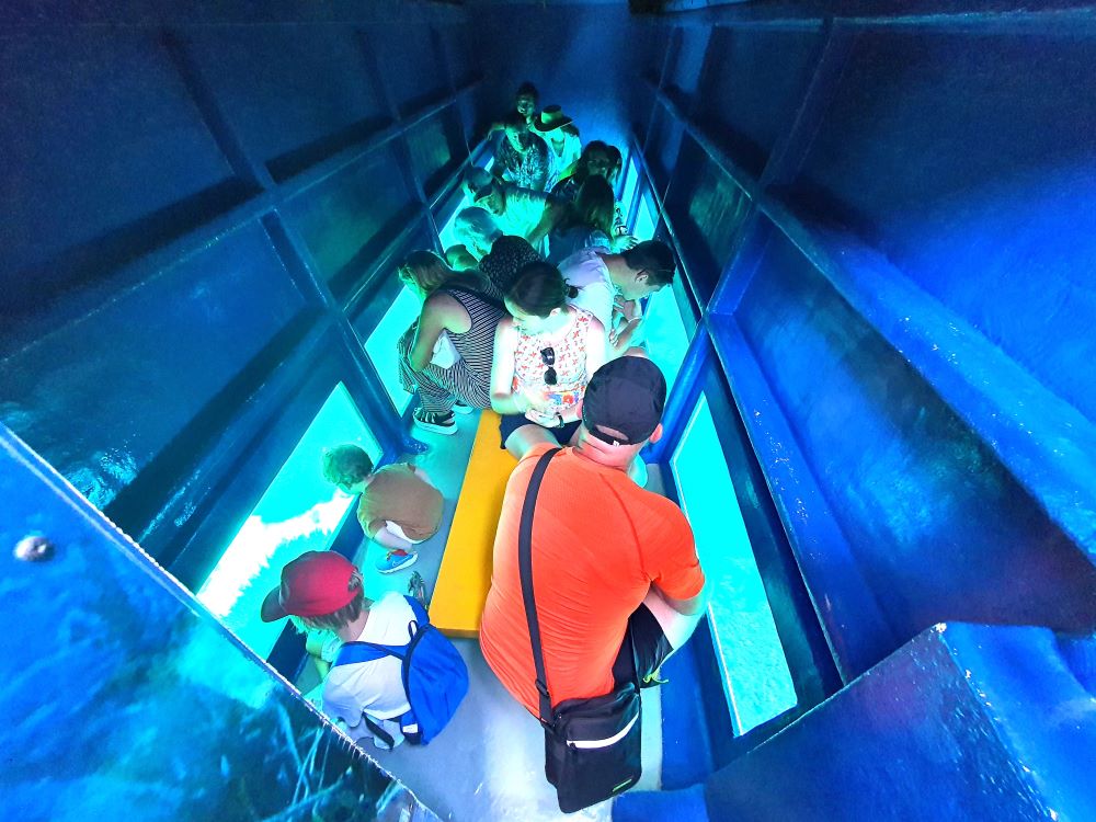 menorca-highlights-und-hotels-mao-bootstrip