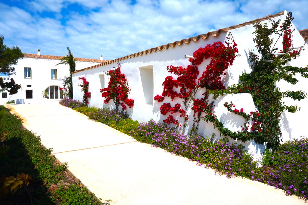 menorca-turismo-hotel-torralbenc-eingang