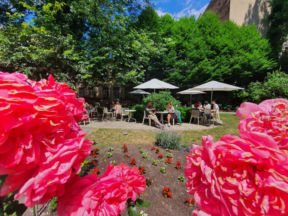 krakau-highlights-und-hotels-neue-welt-meho-cafe