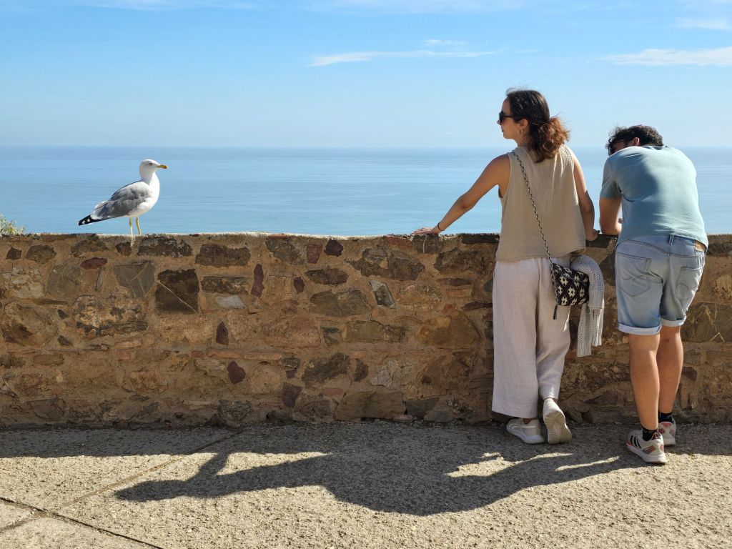 malaga-mediterran-alcazaba-girbralfaro-moewe