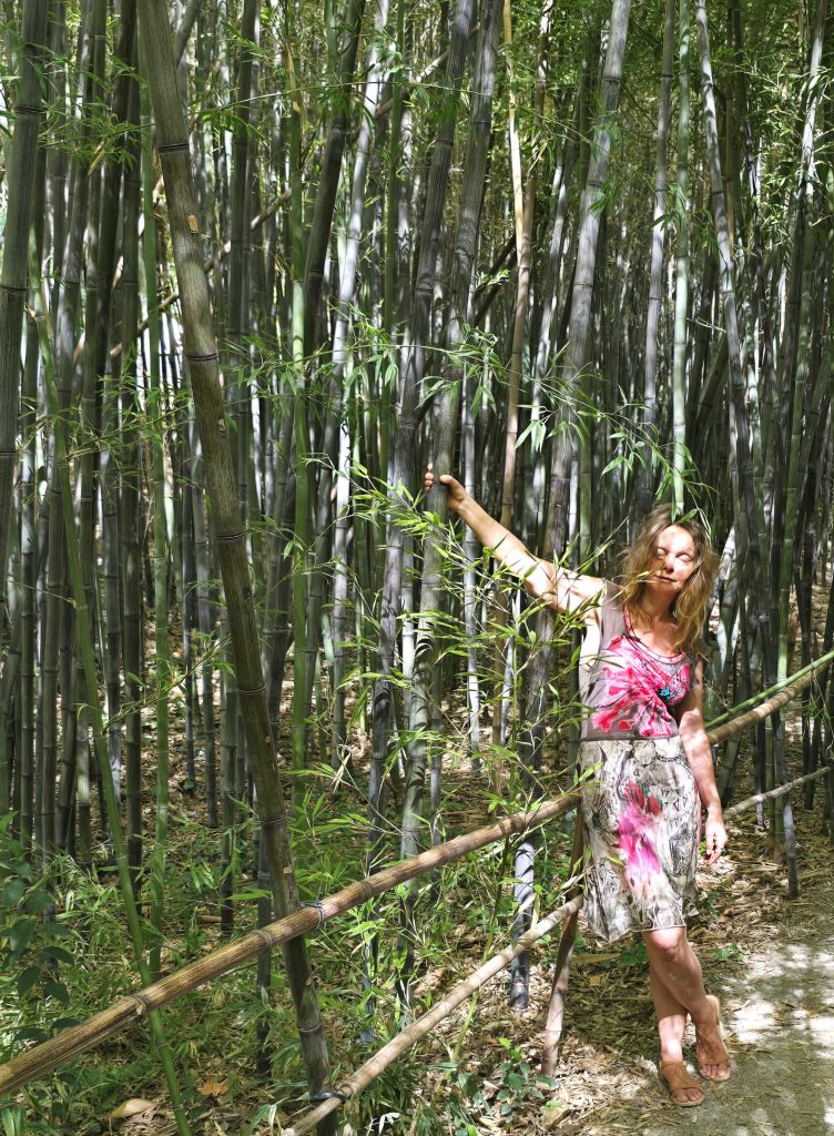 malaga-mediterran-jardin-de-la-concepcion-bambuswald