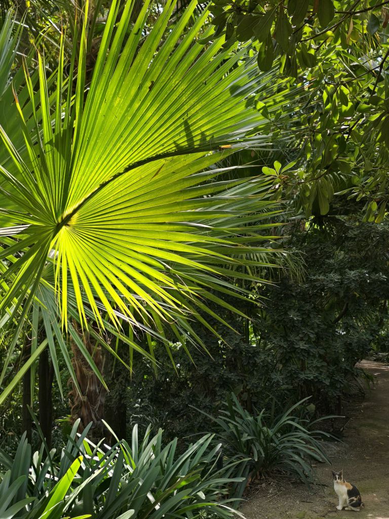 malaga-mediterran-jardin-de-la-concepcion-katze