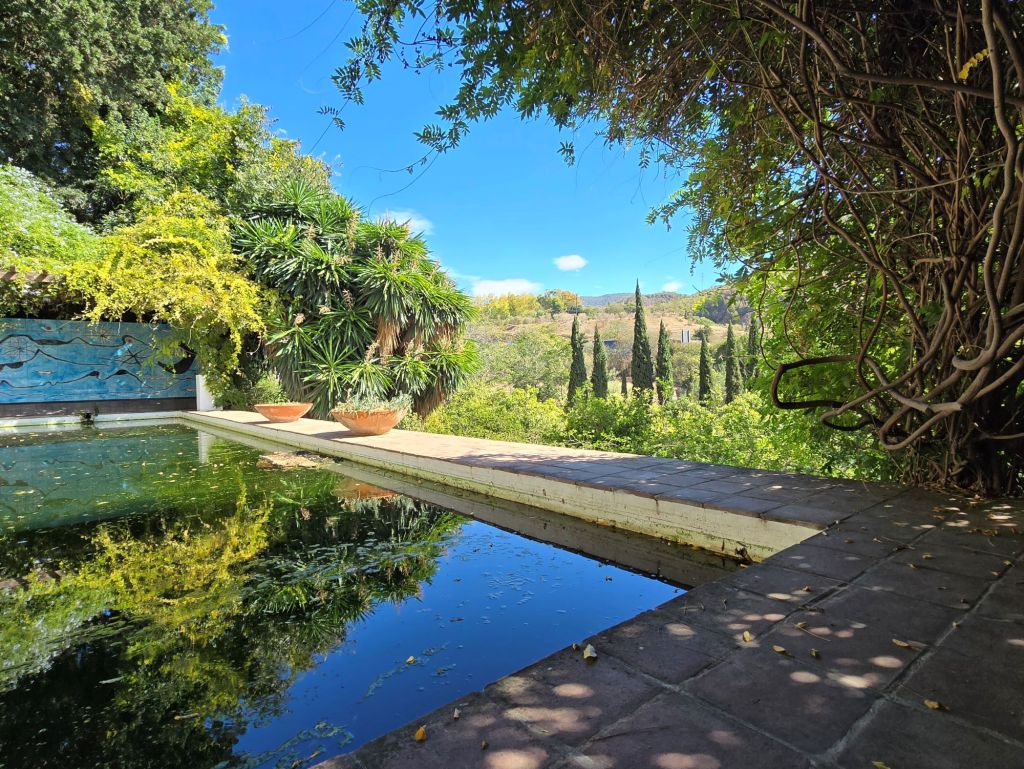 malaga-mediterran-jardin-de-la-concepcion-teich