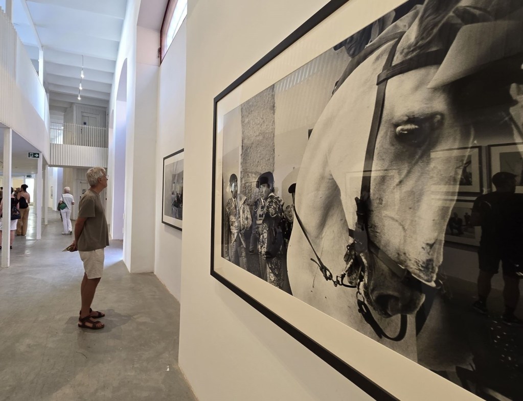 malaga-kunst-und-kultur-malaga-stierkampfarena-kulturzentrum