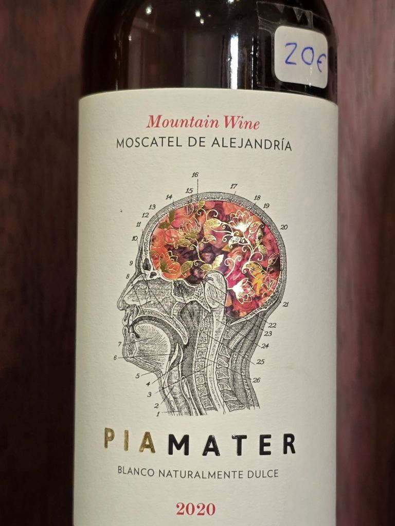 malaga-kunst-und-kultur-museo-del-vino-degustation