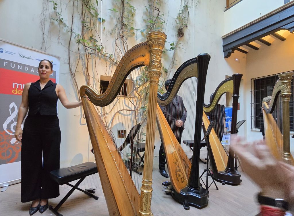 malaga-kunst-und-kultur-museen-malaga-museo-revello-de-toro-harfenkonzert