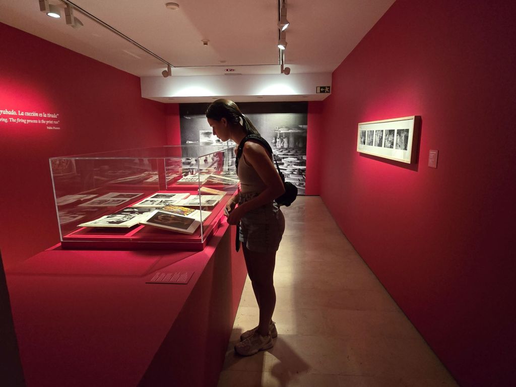 museo-picasso-fundacion-picasso