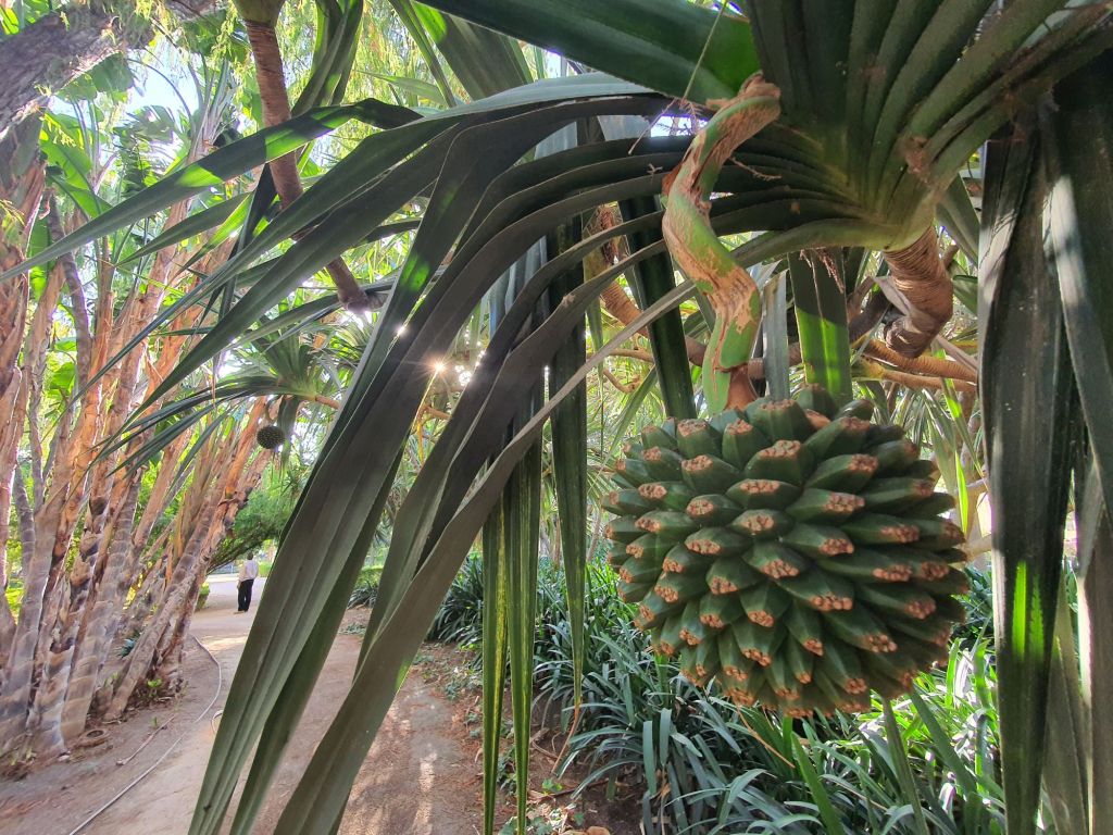 malaga-mediterran-park-exotische-flora