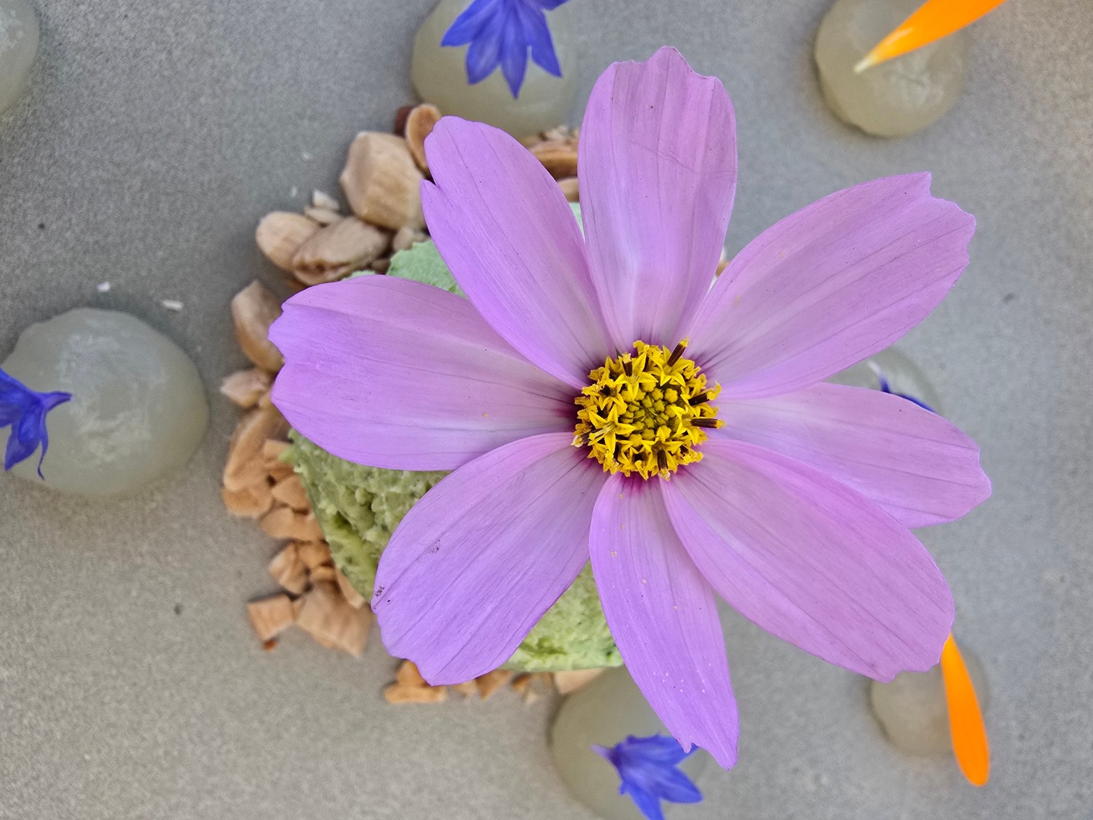 top-restaurants-in-las-palmas-dessert-restaurant-berro-las-palmas